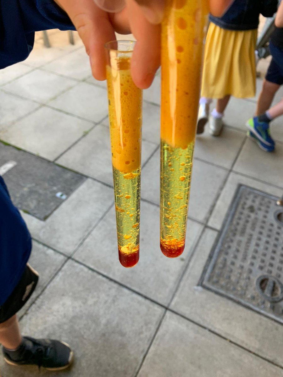 NextThing.Education tweet media