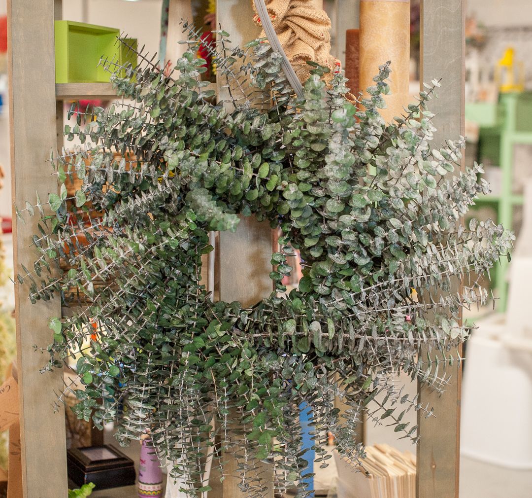 #petalsflowershop #petalsofowenton #owentonky #spartaky #glencoeky #warsawky #carrolltonky #waltonky #veronaky #flowers #freshflowers #flowershop #flowershopowentonky #floristowentonky #gifts #homedecor #wreaths #eucalyptus #eucalyptuswreaths