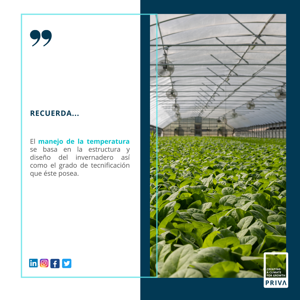 PrivaMX's tweet photo. La 𝘁𝗲𝗺𝗽𝗲𝗿𝗮𝘁𝘂𝗿𝗮 es la variable principal a controlar dentro de un invernadero🌱
#PrivaTeam #Control #Temperatura #SolucionesPriva https://t.co/NIjXNidqfc