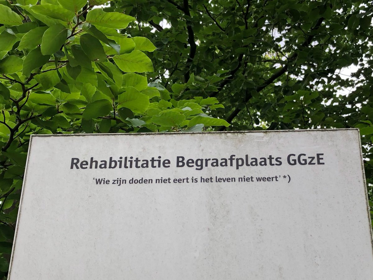 KurtPlanSupeCPA's tweet photo. Een indrukwekkende begraafplaats...

En een indrukwekkend aantal #Stolpersteine voor de gedeporteerde en vermoorde joodse patiënten van de instelling
#GGzE, de vroegere RPI Boschdijk, in #Eindhoven. https://t.co/dFw9e5tf1D