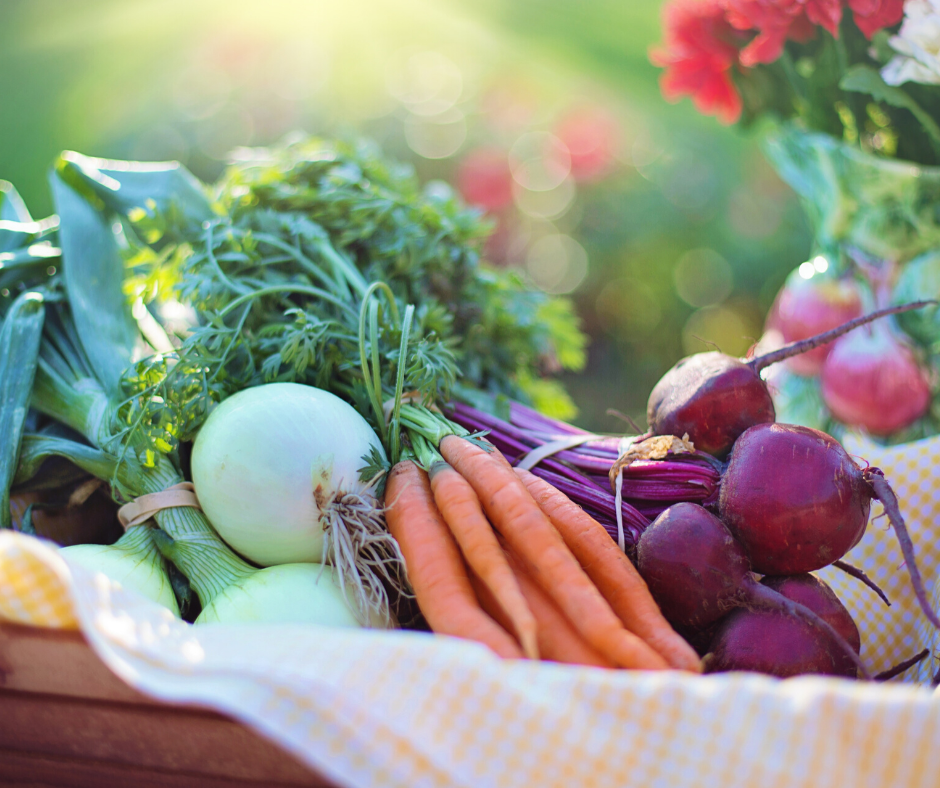 NatureSeal's tweet photo. Grab your favorite veggies because it is National Eat Your Vegetables Day!
.
.
.
#freshissimple #natureseal #freshfood #healthylifestyle https://t.co/FaIA8eAATA