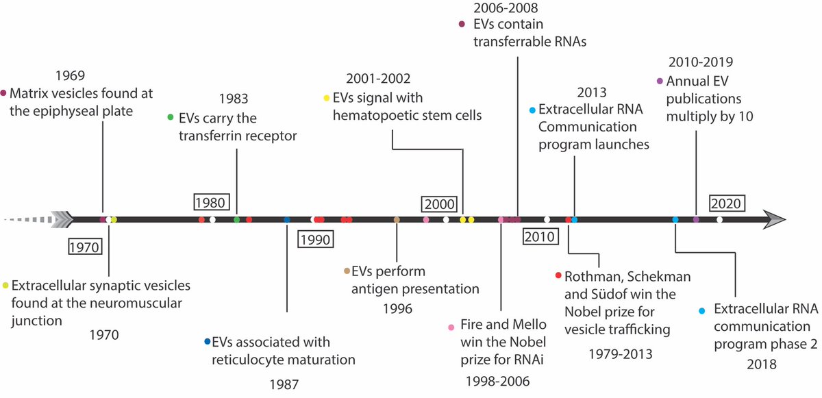 georgemias's tweet photo. Our Review on “Characterizing Extracellular Vesicles and Their Diverse RNA Contents” is published! Great work Eren Veziroglu! 
•EV History •Biogenesis
•Experimental approaches
•RNA content 
https://t.co/oCNcLjHMY2 @FrontGenetics 
@gmiaslab @MSUIQ #EV #exosomes https://t.co/LhHdpUgsmE