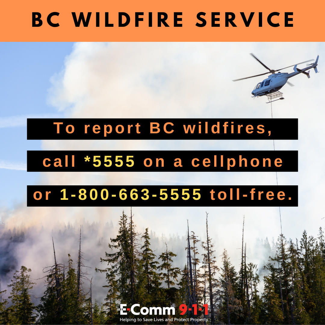 EComm911_info's tweet photo. Itโs #FireSmartFriday! #DYK: @BCGovFireInfo manages wildfires across the province.
To report a wildfire, please drive to a safe place, pull over and call *5555 on a cellphone or 1-800-663-5555.
For updates on the status of a wildfire, please check @EmergencyInfoBC. #911BC https://t.co/KHy9fae4UJ
