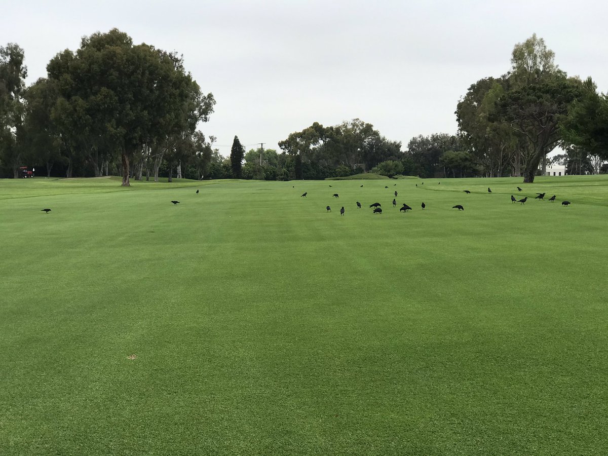 Scot Dey tweet media