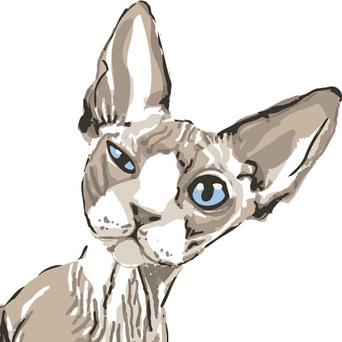 CatSongs tweet media