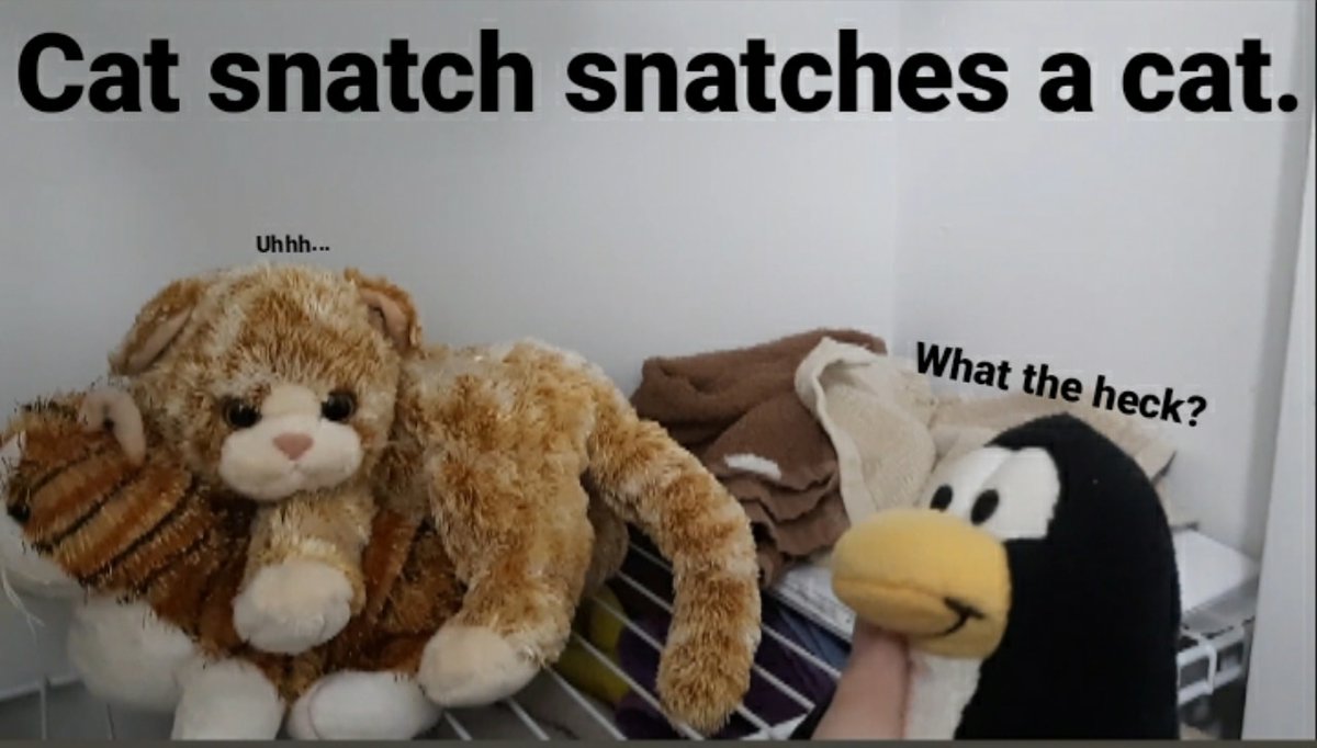 HoldenDempsey's tweet photo. New video out now in my YouTube channel.
#cat #webkins #plush #plushvideo https://t.co/NmKXPgLUnk