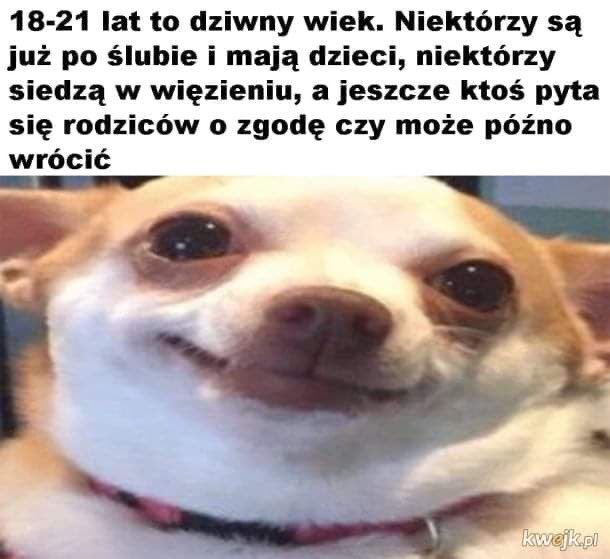 hydroxyziine's tweet photo. XDDDD ale prawdziwe https://t.co/UzMPzyTV20