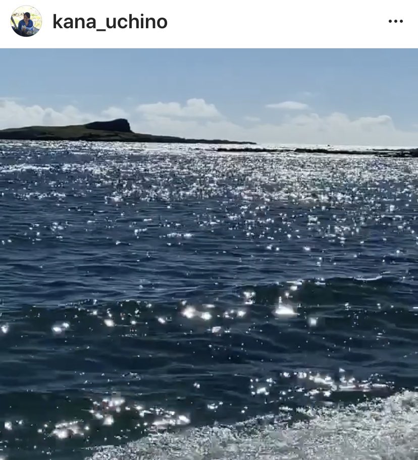 kana_uchi's tweet photo. ここは光で溢れてる。でも同じ眼で見たら日本も光に溢れてると気づく
#MorningLights #Hawaii 

https://t.co/q0pSsDaptS https://t.co/Lz1USDwu4x