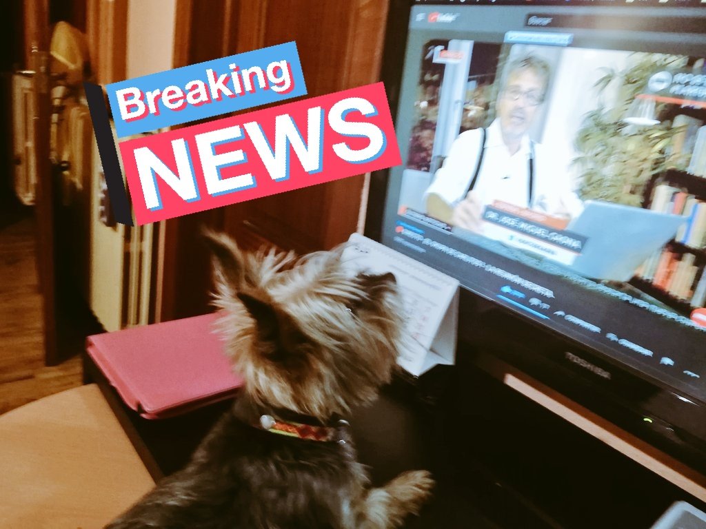 Luna70Retro's tweet photo. Me gusta mucho el programa, muy interesante.
Guau, guau. 🐶
#LaReuniónSecreta
#ElOkupadeCarlitos
@LRsecreta https://t.co/s8c8AZYYPc