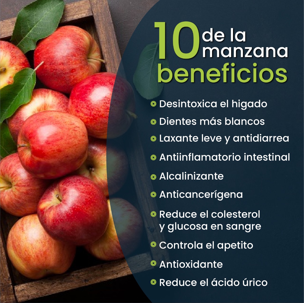 Introducir 50+ images manzana caracteristicas nutricionales Viaterra.mx