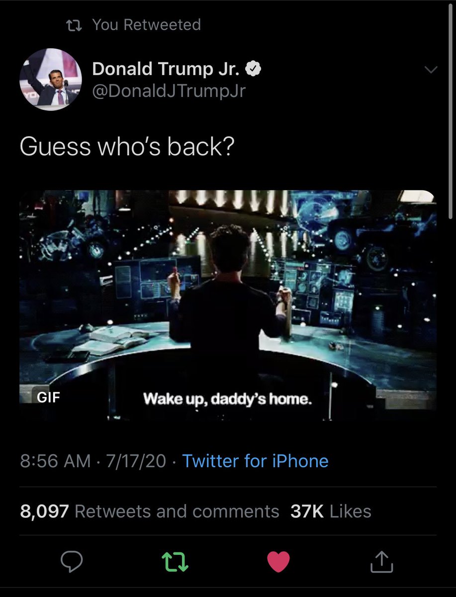 Future proves past?  @DonaldJTrumpJr posts this just 7 hours before Q posts after 15 days of no posts?