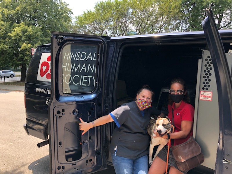 Chicago Rescue Day is the best! We took in 5 cats and 3 dogs. (Thanks for going to get them Samantha & Jacki!). For full info, visit @rescuechicago on Facebook. #chicagoanimalcareandcontrol