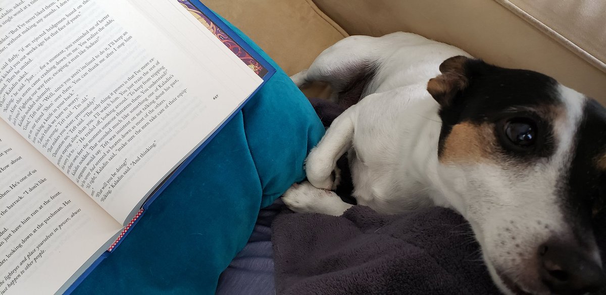 NerdyNarrative_'s tweet photo. "What does Kaladin do next, Mama?"

He shows others how to lead by doing the right thing, BECAUSE it's the right thing and somebody has to do it first so others can follow.

#Lirin #TheWayofKings #BrandonSanderson https://t.co/1J5DVQXFdb