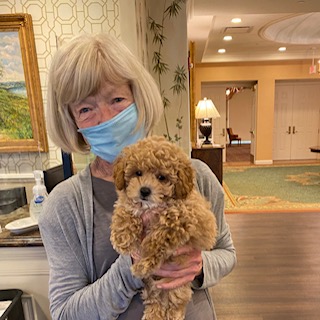 PlymouthPlace's tweet photo. “Happiness is a warm puppy.” – Charles Shultz
All God's creatures are welcome at Plymouth Place. We just happen to think the fluffier the creature, the better. Schedule a tour today and bring your best friend. We'll have a treat waiting.  708.482.6511. #seniorliving #petswelcome https://t.co/e7MJzv33AN