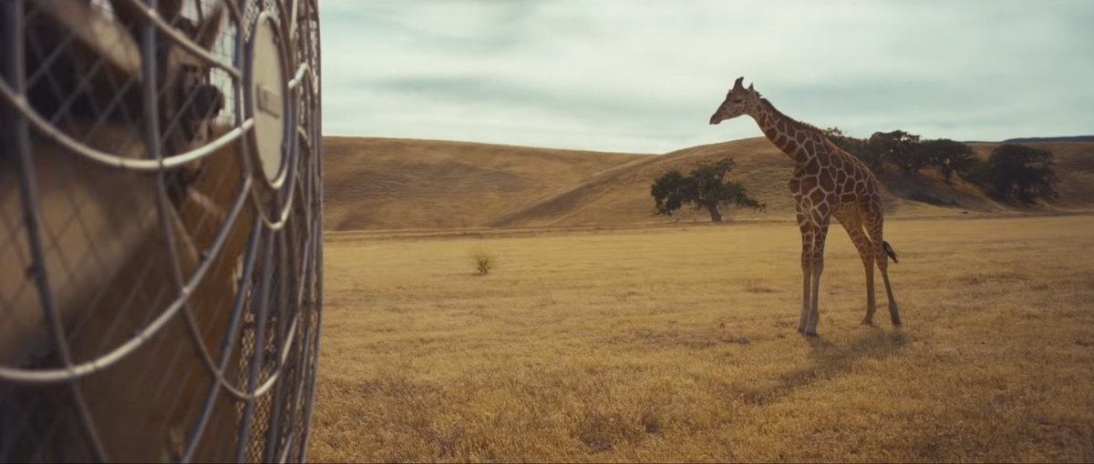 Fans theorize that 'Wildest Dreams' is about her experience as an actress in the movie 'The Giver' where she allegedly falls in love with the actor, Alexander Skarsgård. Because the music video takes place somewhere around/in South Afrika which is where the movie was shot.