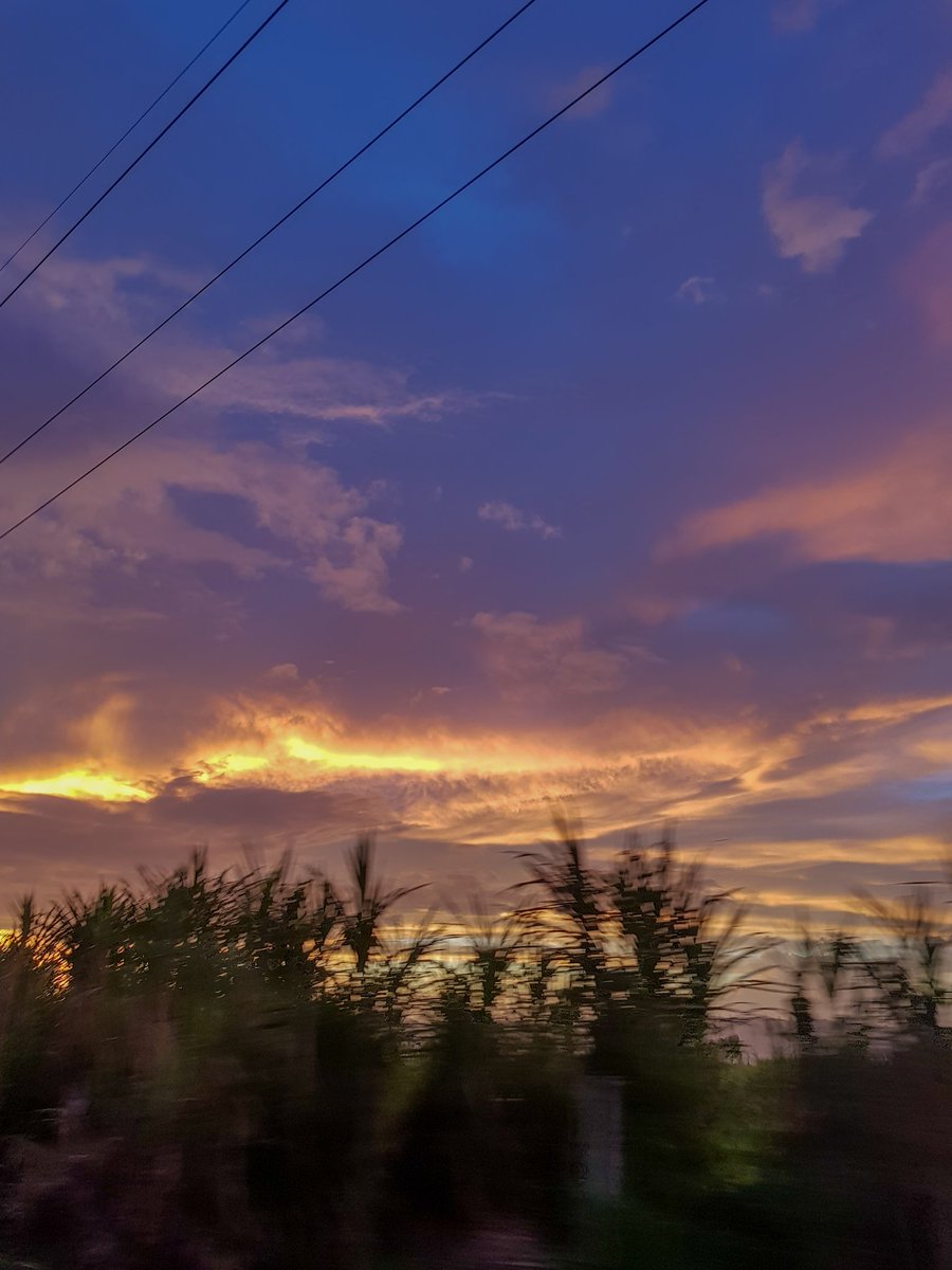 paarkwink's tweet photo. sunset, you will always be my favourite colour and time of the day 🧡🌅

(photos are mine) https://t.co/nRkKQ3jua2