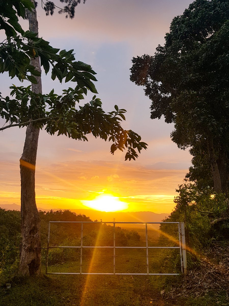 paarkwink's tweet photo. sunset, you will always be my favourite colour and time of the day 🧡🌅

(photos are mine) https://t.co/nRkKQ3jua2