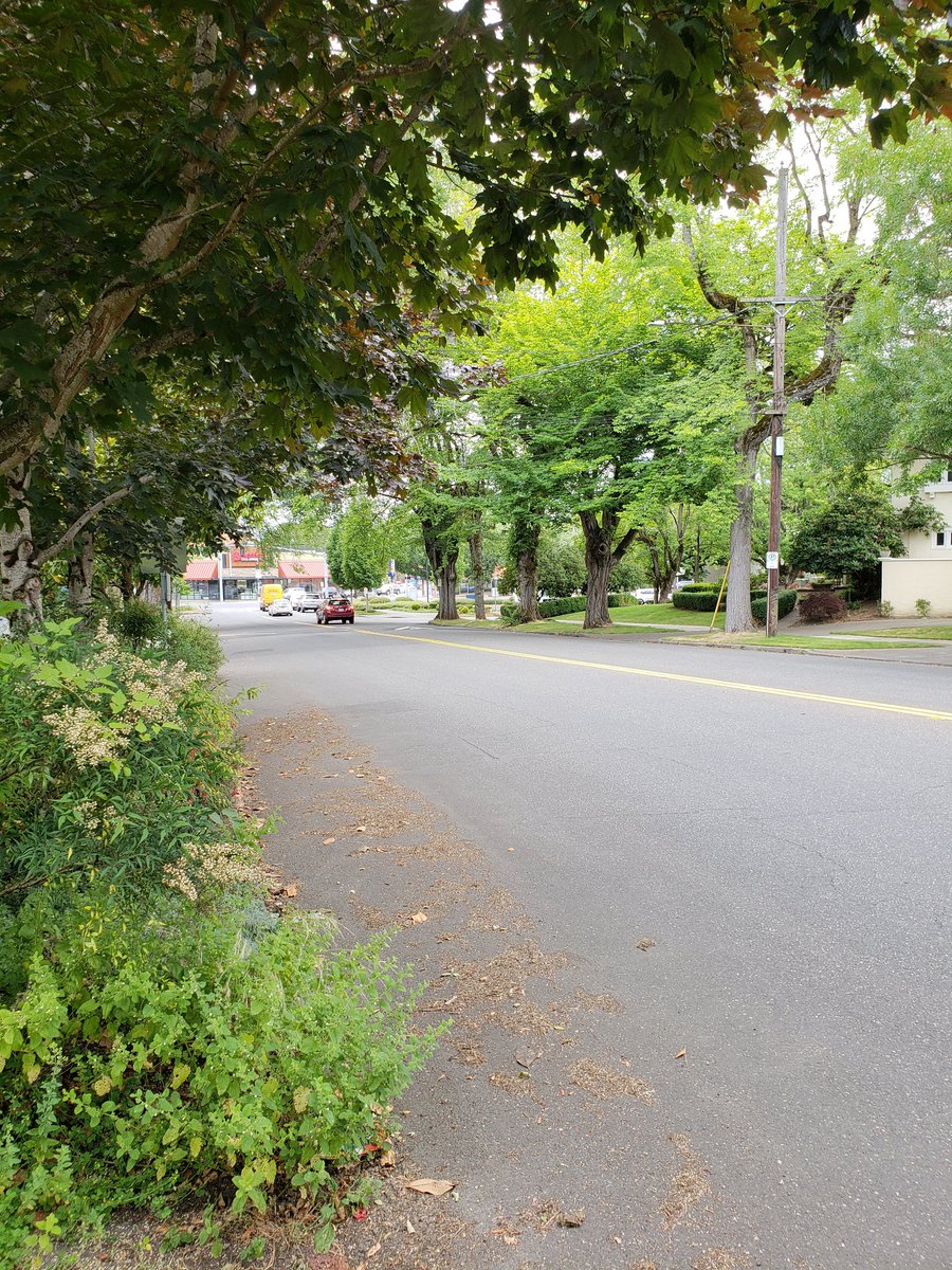 Take5Whpts's tweet photo. @DHS_Wolf @DHSgov Portland is NOT under siege.

Portlandians, please post some pics of our city "under siege."

#Portlandsiege https://t.co/RqSQ15o4y5