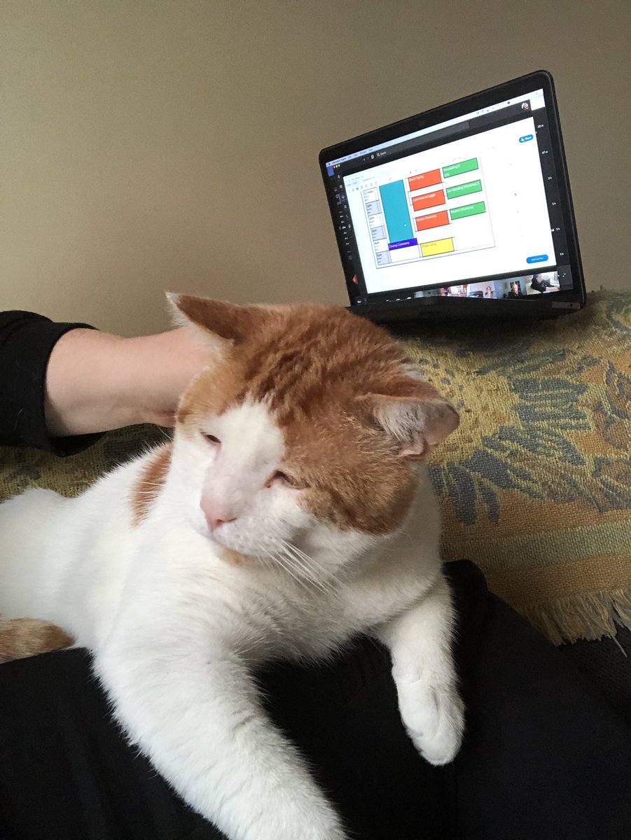 Nigel is ‘helping’ me for our latest ‘Camp@Home: The Jamboree’ meeting.

Got some mint ideas and things planned for our next camp!