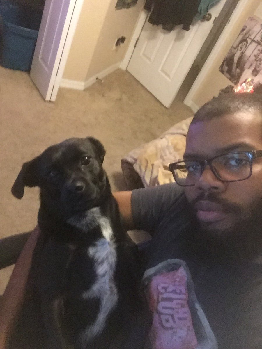 the_megavillain's tweet photo. What Clutch likes to do every night before I stream what a lil dork lol ❤️
#DogsofTwittter #streamerdogs https://t.co/DgRT8xgDk7