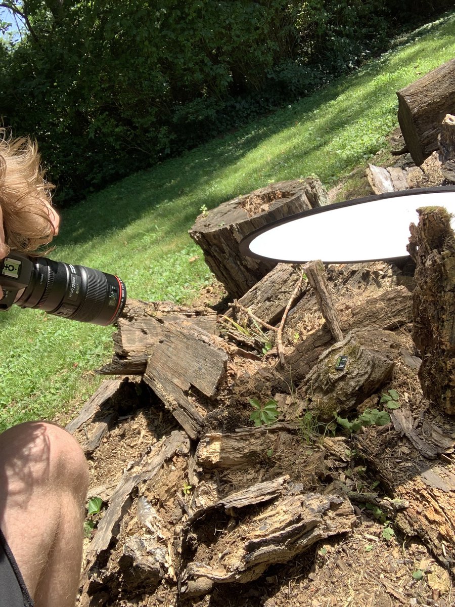 DruePhoto's tweet photo. You don’t need a crazy studio setup to get some cool product photos 🔥 https://t.co/UPw533o7Wd
