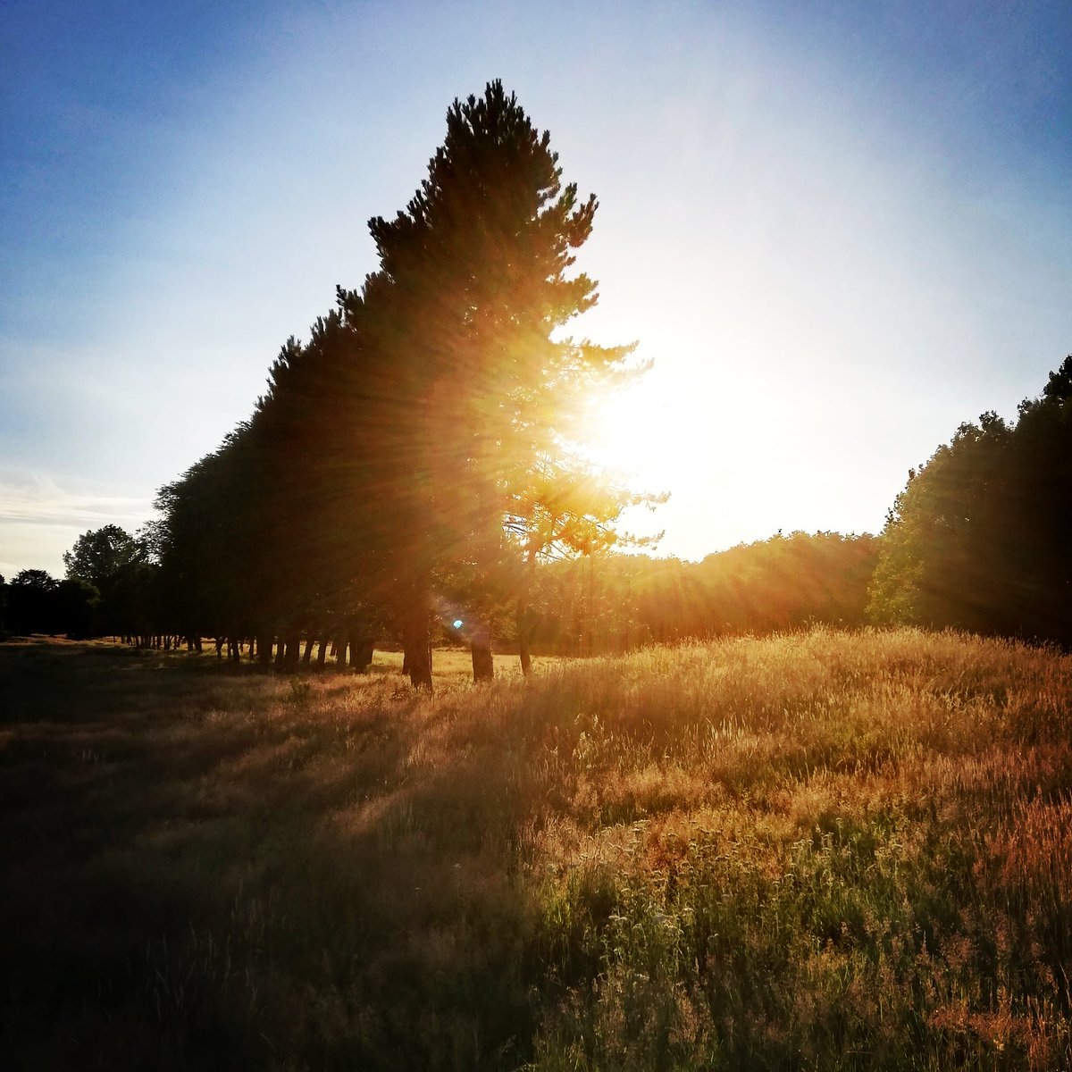 LatoriumTeo's tweet photo. “Don’t forget: beautiful sunsets need cloudy skies…” – Paulo Coelho

#natureconnection #wellbeing #outdoor #sunsets https://t.co/l4gfjiIPng