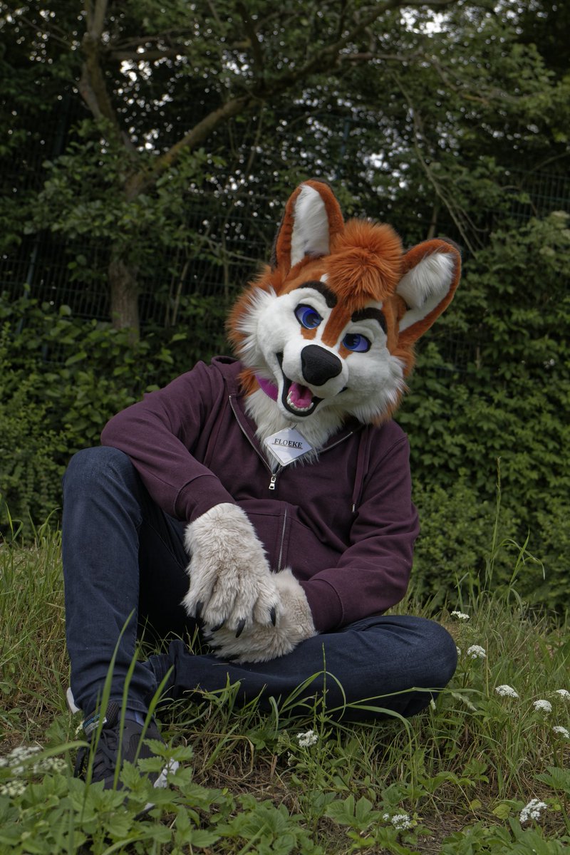 Just a good boy enjoying the nature. Why don't you just sit down beside him? :3

#FursuitFriday brought to you by
✂️: <a href="/TheKarelia/">TheKareliaFursuits 🔜 NFC</a> 
📷: <a href="/Cuddlemango/">Samourin Mangomeow</a>