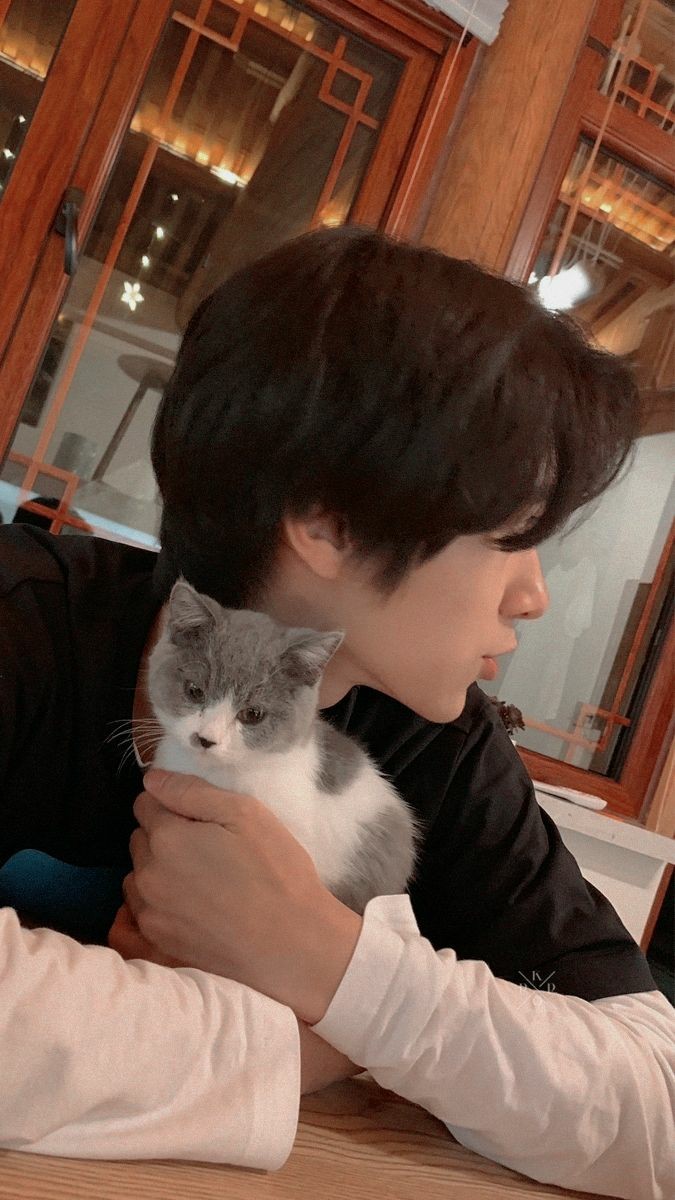 siixstarr's tweet photo. Ah nossa,agr eu sou boiola pelo Hendery
[fanny~] https://t.co/lH3kdzIqfN