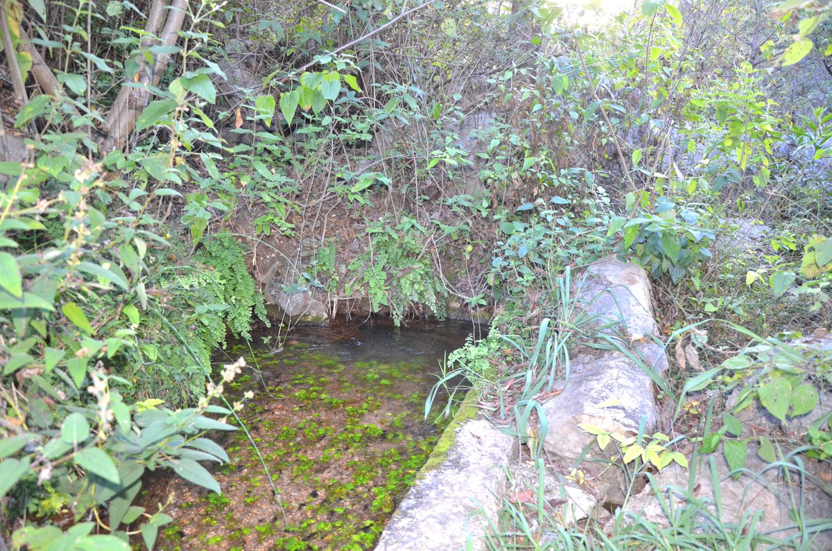 ai_rivera's tweet photo. En otras regiones de Mesoamérica los manantiales son verdaderos santuarios como este, cerca de #Ticua, en la #Mixteca Alta, #Oaxaca. En algunos se llega a peregrinar y realizar rituales; el estudio de @LianaOsorio1 y @Eps5371 ofrece una excelente disertación sobre este tema. https://t.co/rGJSbR2k6T