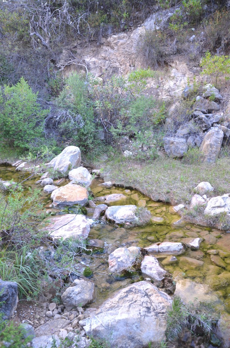 ai_rivera's tweet photo. En otras regiones de Mesoamérica los manantiales son verdaderos santuarios como este, cerca de #Ticua, en la #Mixteca Alta, #Oaxaca. En algunos se llega a peregrinar y realizar rituales; el estudio de @LianaOsorio1 y @Eps5371 ofrece una excelente disertación sobre este tema. https://t.co/rGJSbR2k6T
