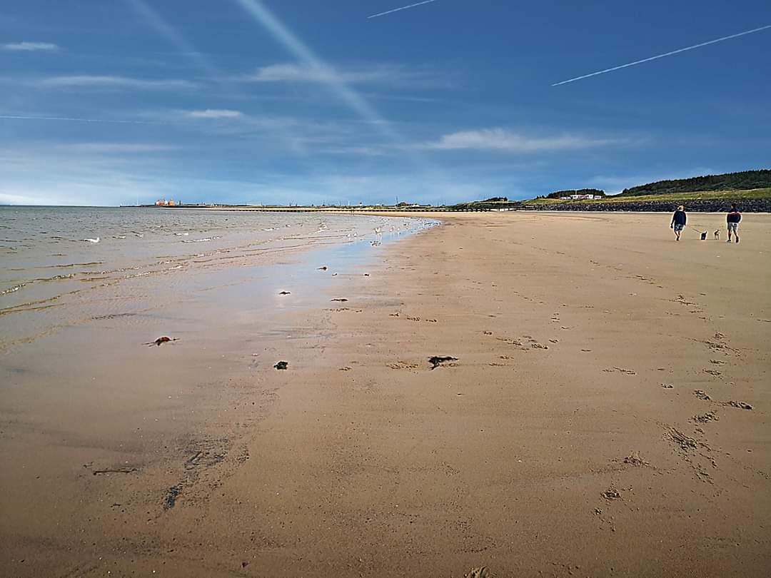 We are so lucky here in #Northumberland to have so many beautiful beaches. This was us on our dog walk this evening at Cambois. As you can see it is very easy to #SocialDistance #FridayFeeling #NationalEmojiDay 🐩🐕🐾🐾⛱️🐚🦀