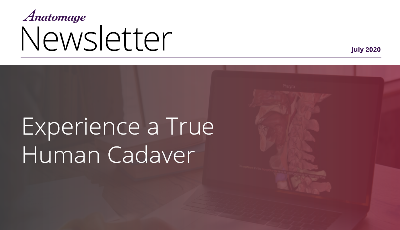 Anatomage's tweet photo. For those who haven't had time to keep up with our social media activities, here is our #JulyNewsletter that includes our latest updates around the #AnatomageEbook and Anatomage's presence at #virtualevents
https://t.co/IDcxK5yunF https://t.co/4npaGGY7aM