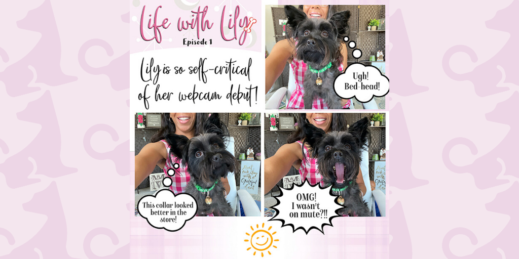 masterMDleaders's tweet photo. While working this week, a curious 🐶 decided to get in on the action. Lily, my fur real yoga buddy/sock bandit/mini coach , taught me that some of the best coaching happens during unplanned moments.  
#lifewithlily #thriveasyoulead #fridayfunnies #funnydogs #doccoach #MDs #coach https://t.co/7C6TMaITff