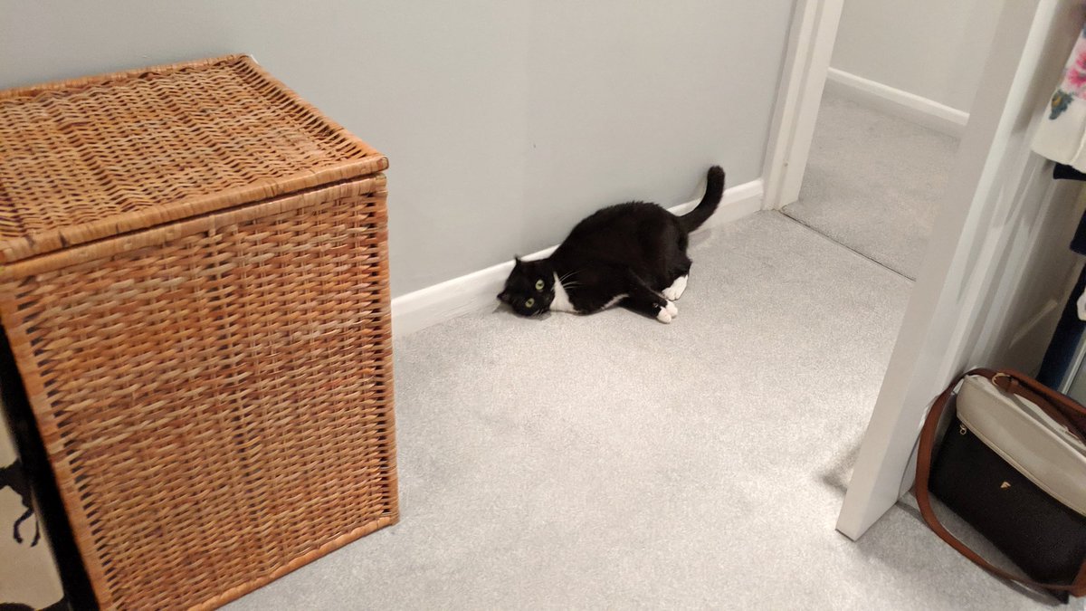 CuriousZelda's tweet photo. I should get up
Or I'll get fatter
Then again 
It doesn't matter https://t.co/VZMTT94c4g