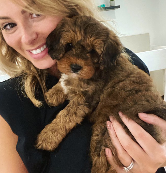 My family has grown by 4 little feet 🥰🐾  Everyone meet Roger ❤️ https://t.co/cmO5glQAyg<a href="/tag/valentinesday"class="tags"><span>#valentinesday</span></a><a href="/tag/of"class="tags"><span>#of</span></a><a href="/tag/playfulpromises"class="tags"><span>#playfulpromises</span></a><a href="/tag/fullerbust"class="tags"><span>#fullerbust</span></a>