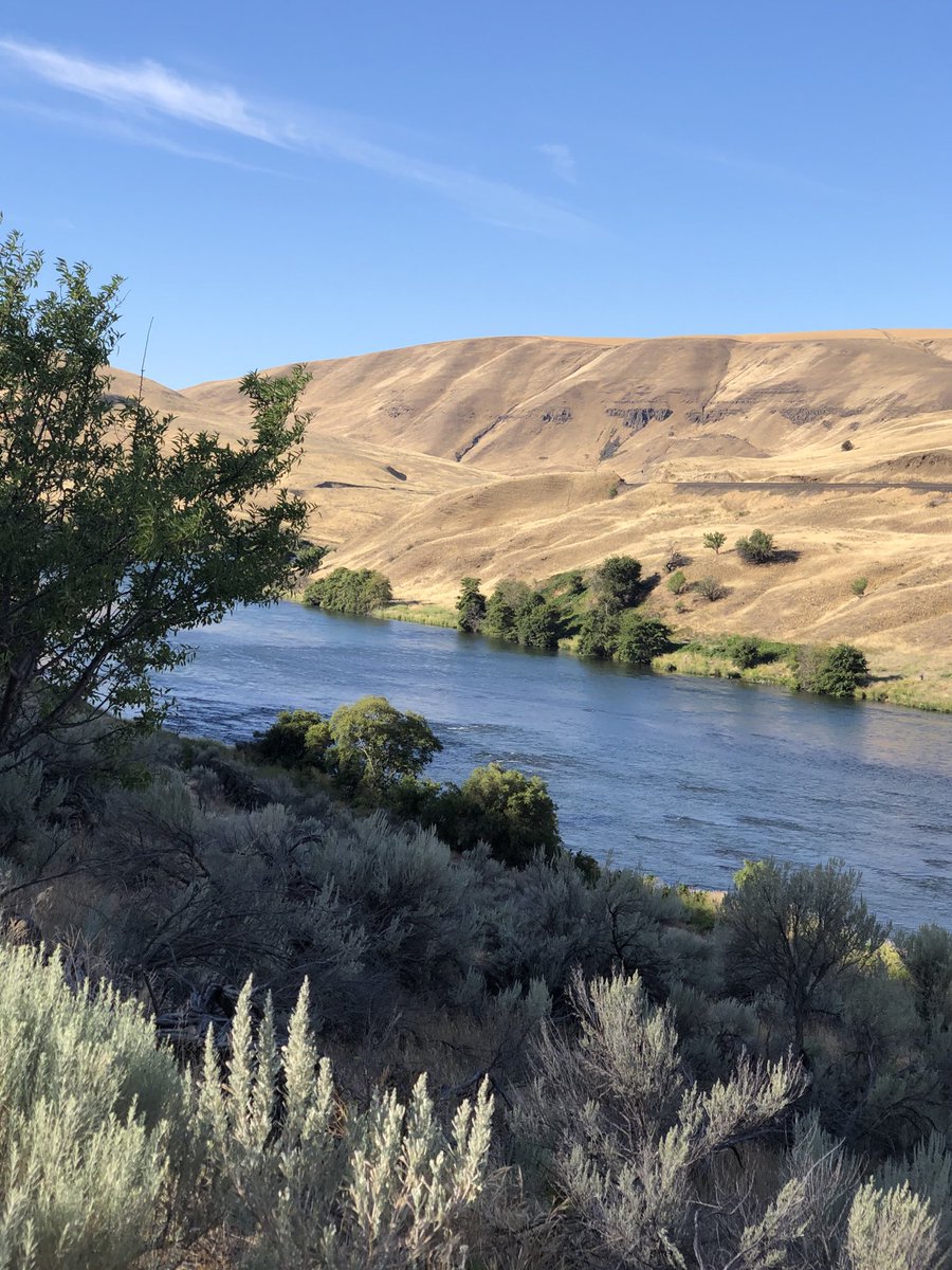 runautumnrun's tweet photo. Trail run along the mouth of the Deschutes...no rattlesnakes despite the warnings! https://t.co/0ib54ElIyw