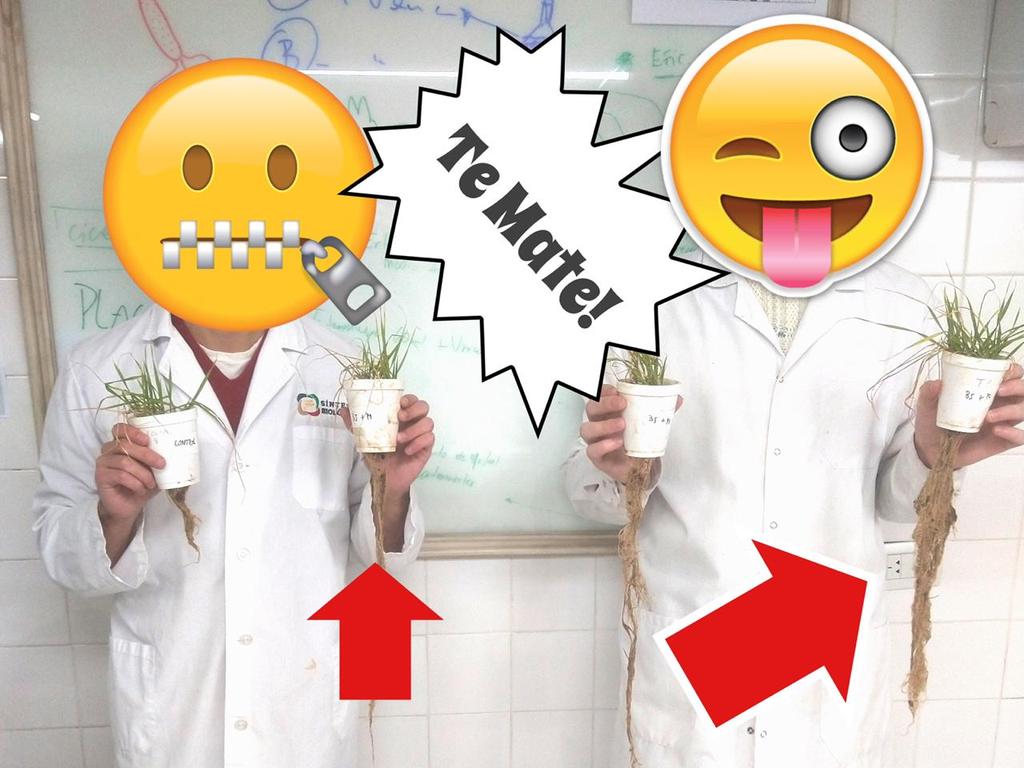 summabio's tweet photo. Ya sea para comunicarnos o divertirnos, son aliados y llegaron para quedarse! 
Nadie se resiste a los #Emojis. Los amamos!
.
.
🥶🤯🤪😇🤠🥳☻😈
.
.
#DiaMundialDelEmoji 
#WorldEmojiDay https://t.co/PEfyJHVj6T