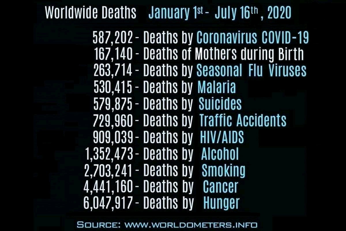 DakshayaniSax's tweet photo. Just putting things in perspective. 

Please still wear your masks diligently. I will

#pandemic https://t.co/0yLwdRlSYG