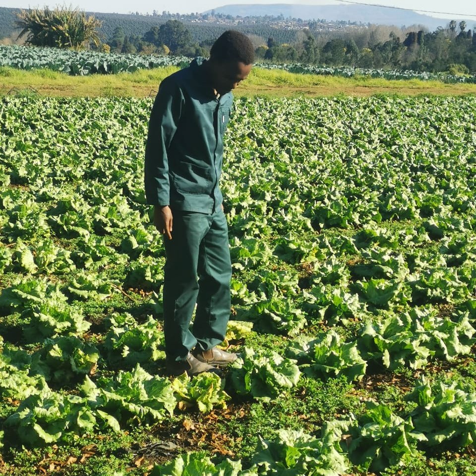 We are making agriculture cool. 😊😎❤️