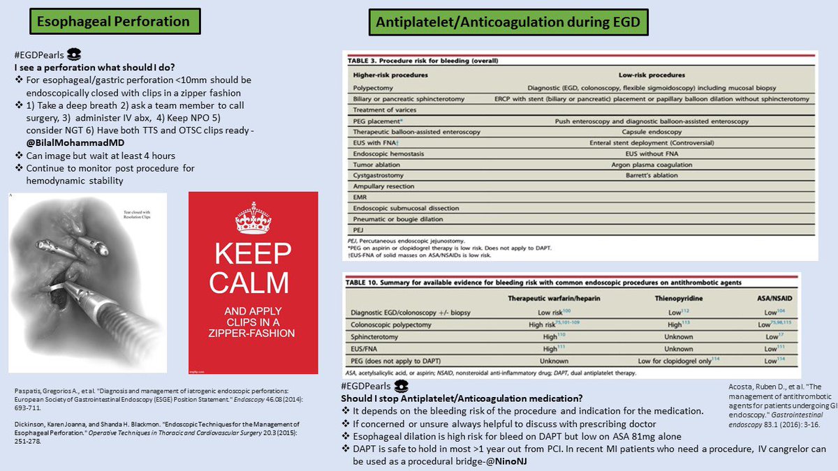 ScopingSundays's tweet photo. Missed the amazing discussion on our previous #ScopingSundays on “Basics of EGD” led by 
@MaiaKayalMD, @JacquelineChuMD &amp; @zsgottlieb , or not finding the time to go through the thread ?

Check out the #ScopingSummary for high-yield pearls prepared by @Doc_Fomin https://t.co/Yzv71Gb7ua