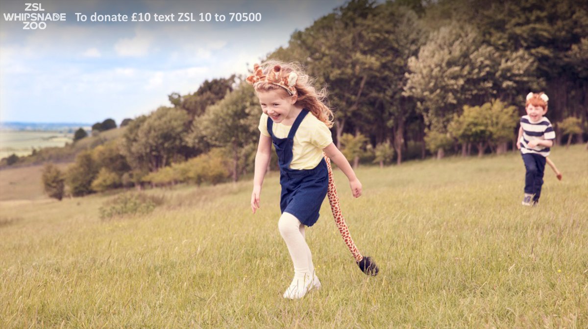 ZSLWhipsnadeZoo's tweet photo. (Home) school's out for summer! ☀️ It's time for a well-deserved break! We can take it from here - let us entertain and inspire your little ones as they explore the Zoo. Book tickets here: https://t.co/AVV6p6vw60 #SchoolsOutForSummer #FridayMotivation #SummerHolidays https://t.co/ZkOTLh2zod