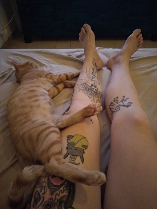 Me and my #gingercat  #feetfetish #legfetish #tattood https://t.co/yTOBL7B22r<a href="/tag/gingercat"class="tags">#gingercat</a><a href="/tag/feetfetish"class="tags">#feetfetish</a><a href="/tag/legfetish"class="tags">#legfetish</a><a href="/tag/tattood"class="tags">#tattood</a>