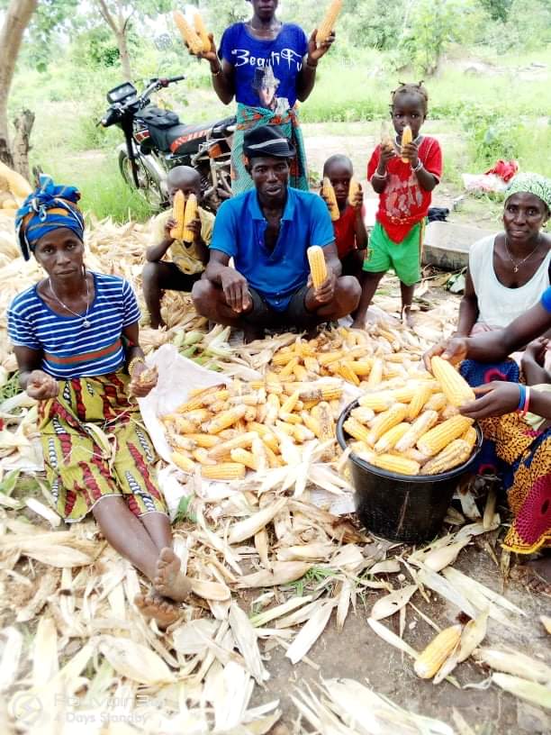 VertBio's tweet photo. Une agriculture inclusive et équitable #VertBio #CCA https://t.co/RZdxoRVKSl