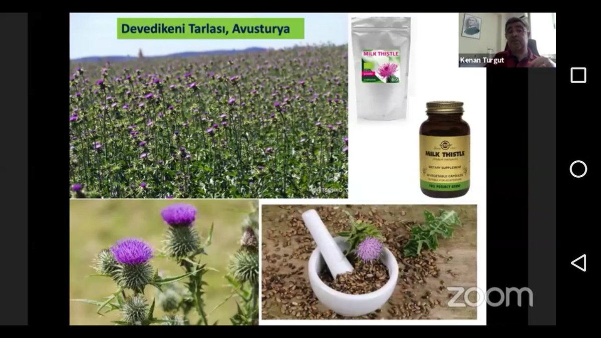 antalyailtarim's tweet photo. Yoğun bir katılımın olduğu #Tıbbi ve #Aromatik Bitkilerin Tarımının Temel İlkeleri #online kursumuzda ilk gün konuları  @akdenizun Ziraat Fakültesi'nden Prof.Dr.Kenan TURGUT'un anlatımıyla gerçekleşti. @gkhankaraca  @karayeldavut https://t.co/K3oMZzsAsV