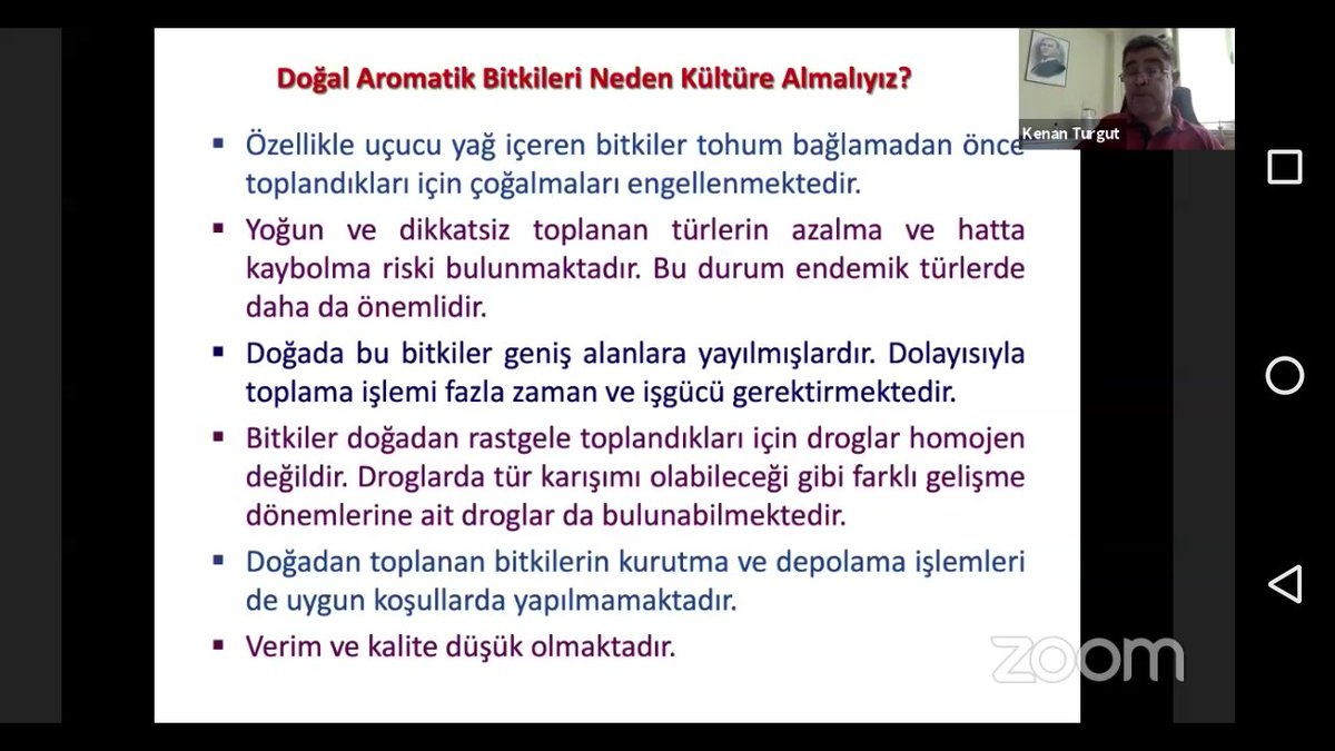 antalyailtarim's tweet photo. Yoğun bir katılımın olduğu #Tıbbi ve #Aromatik Bitkilerin Tarımının Temel İlkeleri #online kursumuzda ilk gün konuları  @akdenizun Ziraat Fakültesi'nden Prof.Dr.Kenan TURGUT'un anlatımıyla gerçekleşti. @gkhankaraca  @karayeldavut https://t.co/K3oMZzsAsV