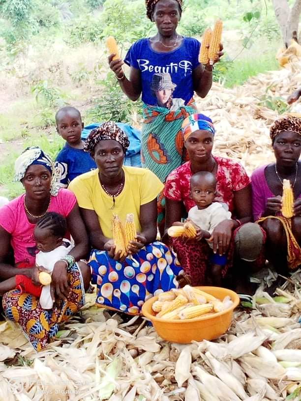 VertBio's tweet photo. Une agriculture inclusive et équitable #VertBio #CCA https://t.co/RZdxoRVKSl