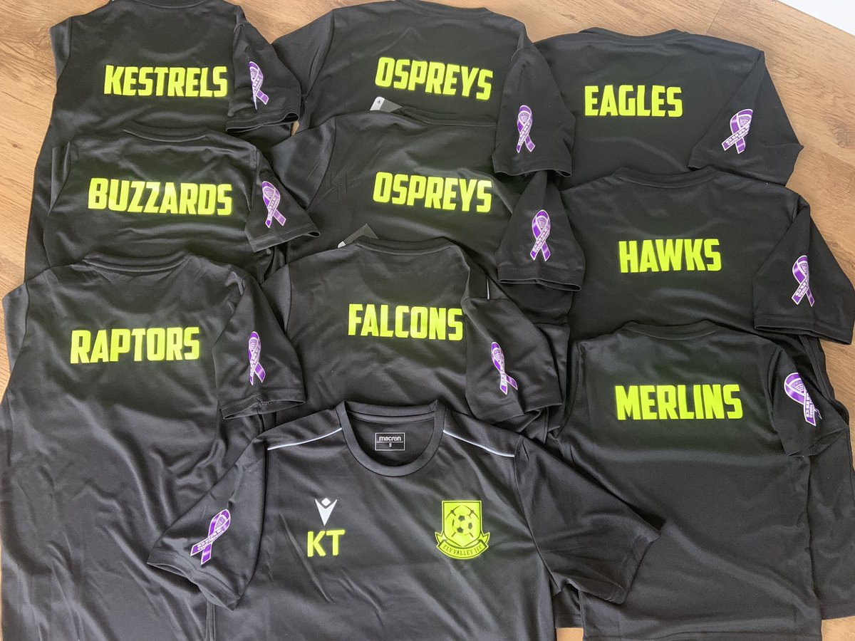elyvalleyhawks's tweet photo. Huge Thank You to Matt for sorting us out with our new training kit for the whole club 👍🏼 we can’t wait to get back training to wear it ⚽️@00harrm1 @macronebbw @ev_kestrels @ValleyEly @ElyOspreys9s https://t.co/0Rnqj0zAXT
