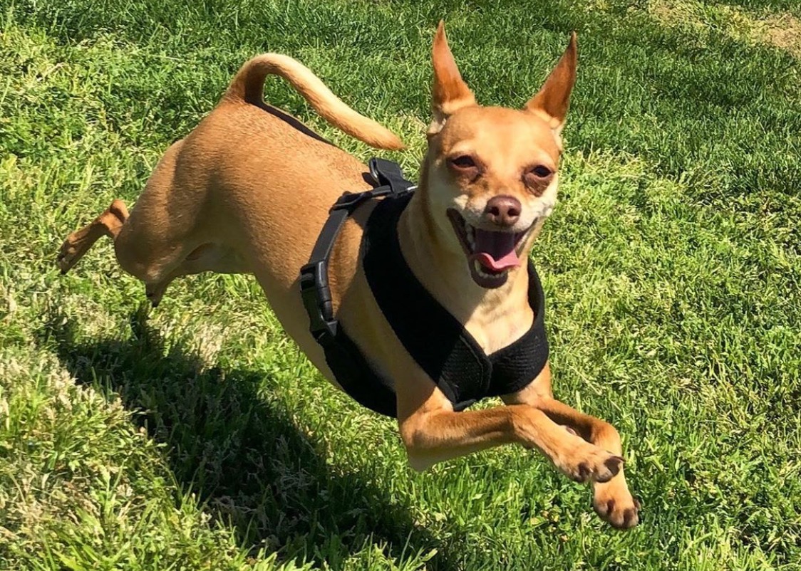 Chandler Recreation tweet media