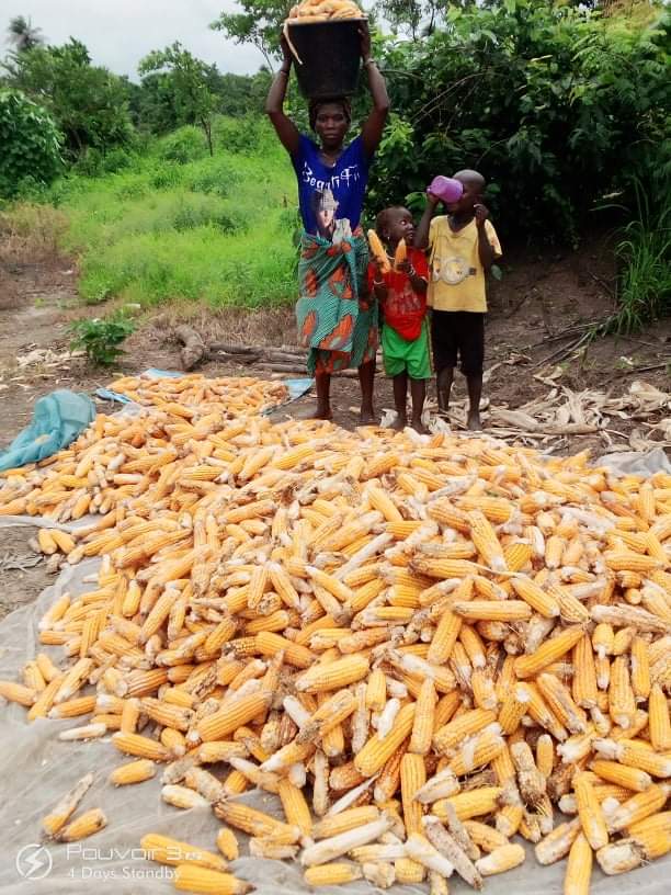 VertBio's tweet photo. Une agriculture inclusive et équitable #VertBio #CCA https://t.co/RZdxoRVKSl