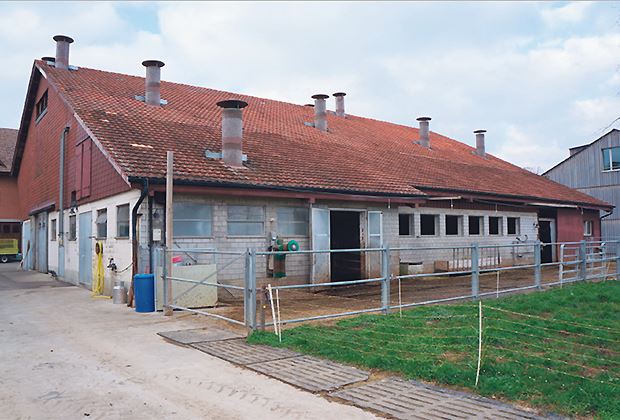 SchweizerBauer's tweet image. #Milchviehstall kann gebaut werden

Am landwirtschaftliche Bildungs- und Beratungszentrum #Arenenberg kann der neue Stall gebaut werden. Die Baubewilligung ist rechtskräftig. Der alte Stall wird abgebrochen. Der Neubau soll bereits im April 21 fertig sein.
schweizerbauer.ch/tiere/milchvie…